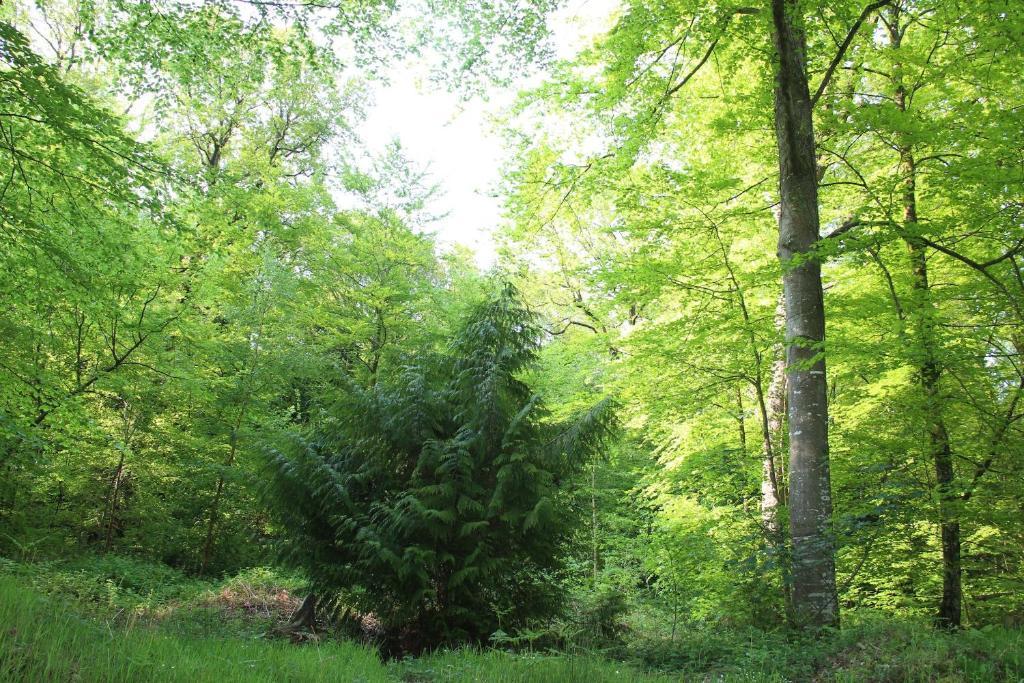 Albert Premier Hotel Bagnoles-de-l'Orne Bagian luar foto